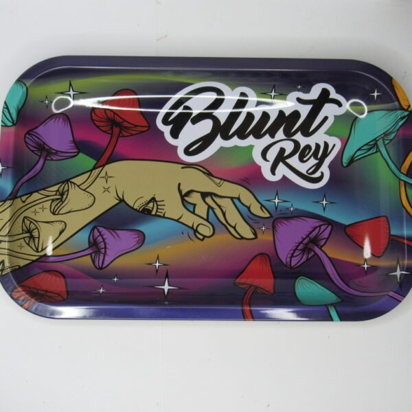 BANDEJA DE METAL 17X27